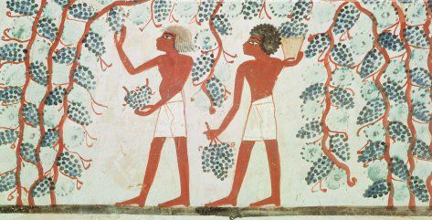 wines in ancient egypt
